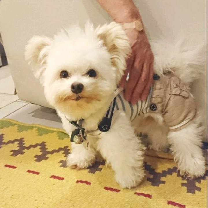 4ffa421c 04f3 4edb 99bd 698ad8a8735e