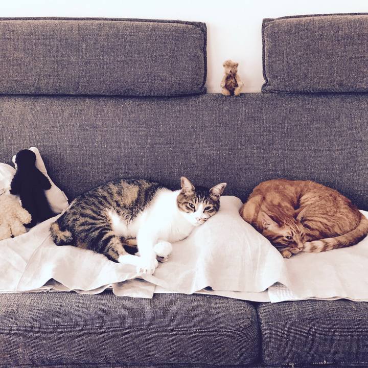 4ffa46a0 4930 4667 9676 f285ca6f0d69