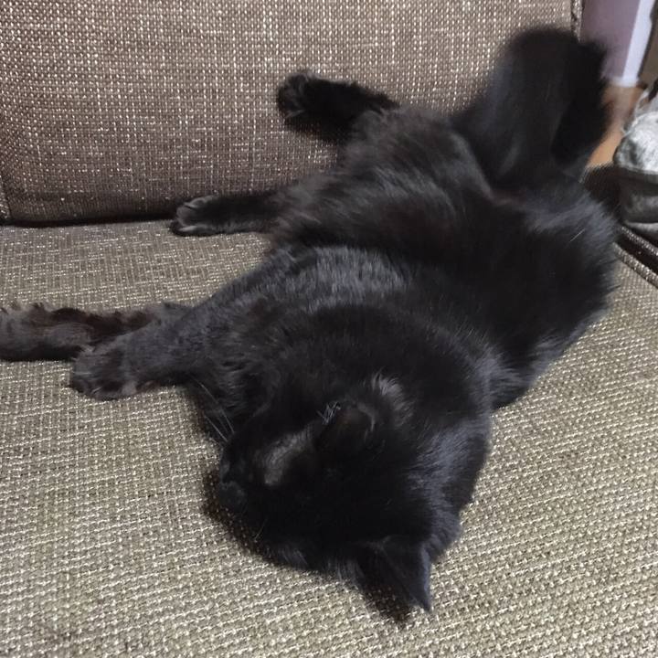 4ffad6ab 540d 4152 8d4b e801062ae563