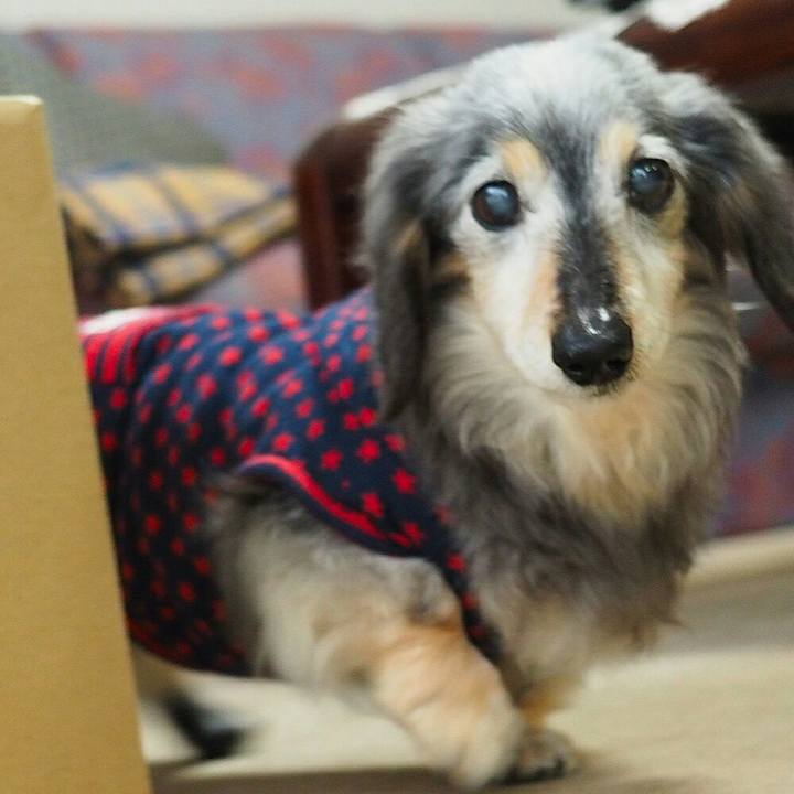 4ffb3ca9 fa7a 444f 8e48 f713482290ca