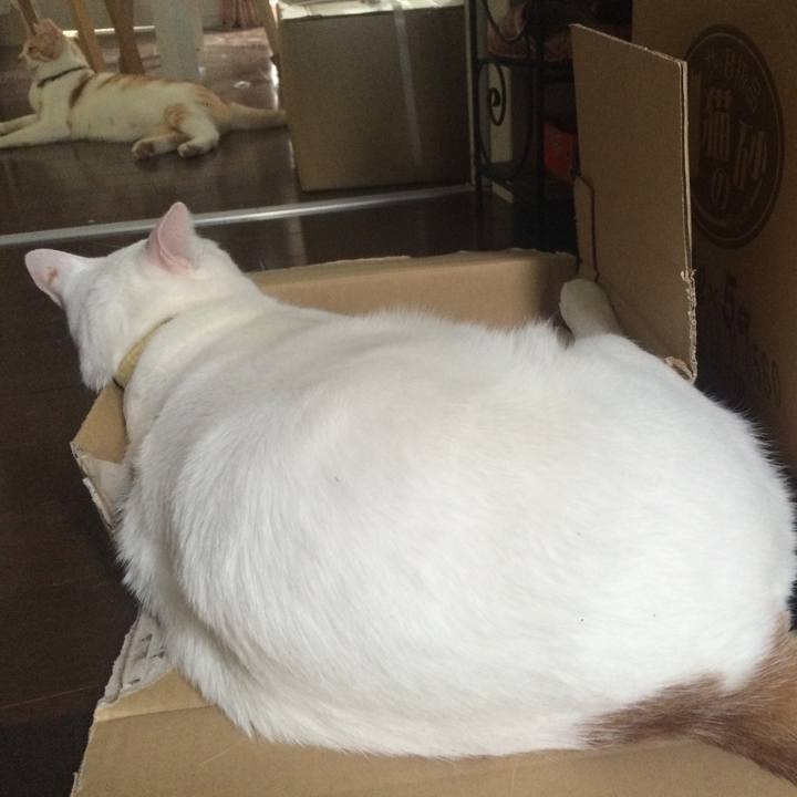 4ffb6961 4ce7 4e82 8f33 527974eba0d1