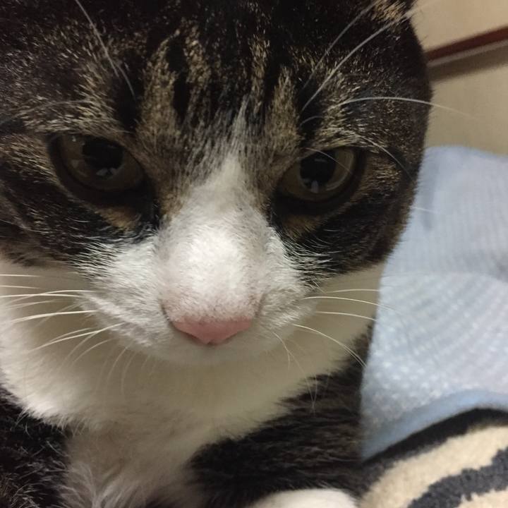 4ffb6b6f 385c 4840 a6cd 0715605f6b39