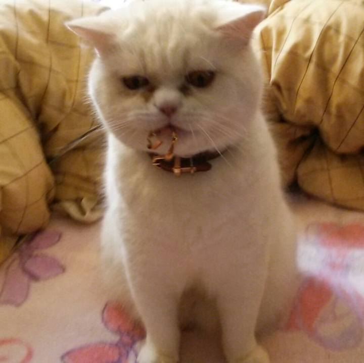 4ffc12e4 15ea 4cb6 b09c 61f9fe4f4998