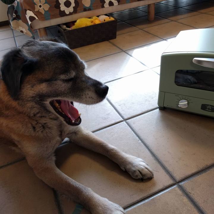 4ffc742f f640 4d35 8d93 4f88b477f94b