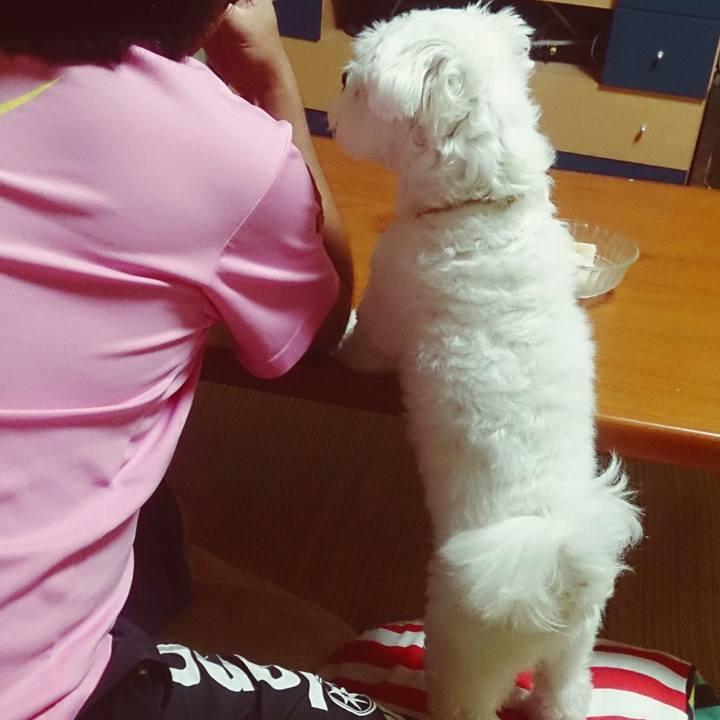 4ffc9c2d 8acd 4a45 8466 bb037a8920f6