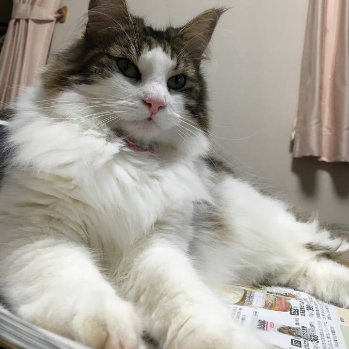 4ffd9c4d 8d2c 4394 a4d7 58c0b8a15fff