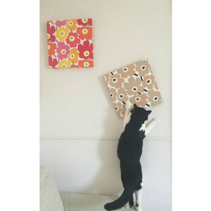 4ffe4ca1 4cfe 4967 b9f5 1e5520011736