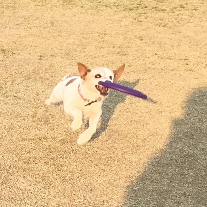 4ffe5256 ed85 4943 92e3 587938fdf4e0