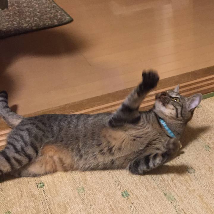 4ffe617d 0b0d 44e3 9e12 1ed4a256a46d