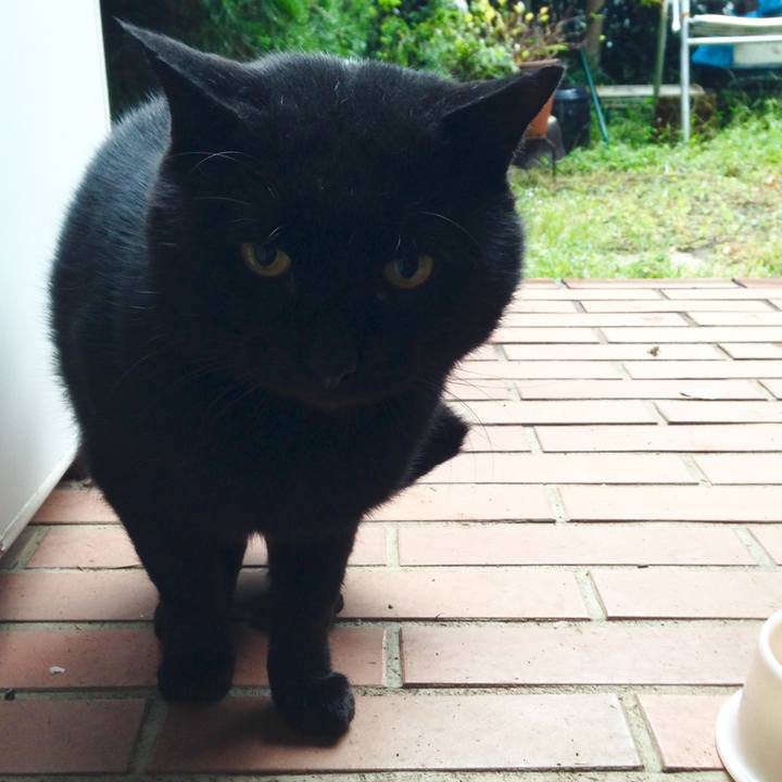 4ffe9cf2 aca8 416b 9488 23f3ea41c580