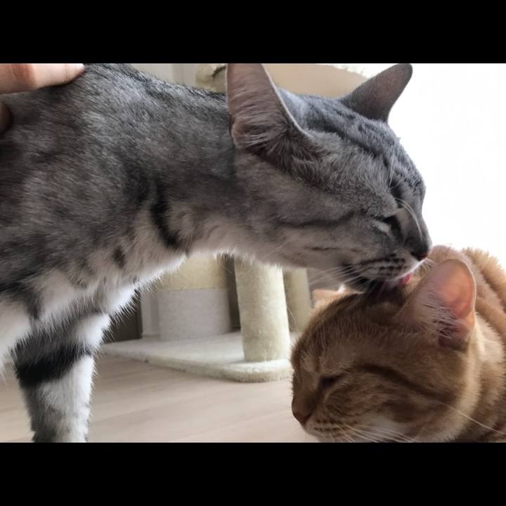 4ffea6bf ada1 4162 84d7 5d59f01c5ca2