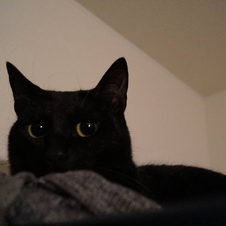 4fff155b 1343 42f5 ac5e e35e8e968a8c