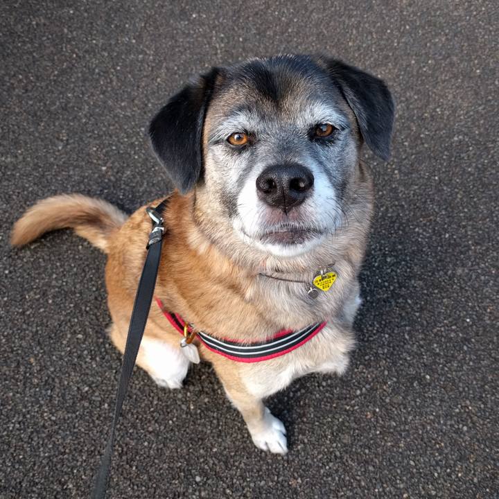 4fff2c5a a9d9 4f80 a84c 3cdcca68b945