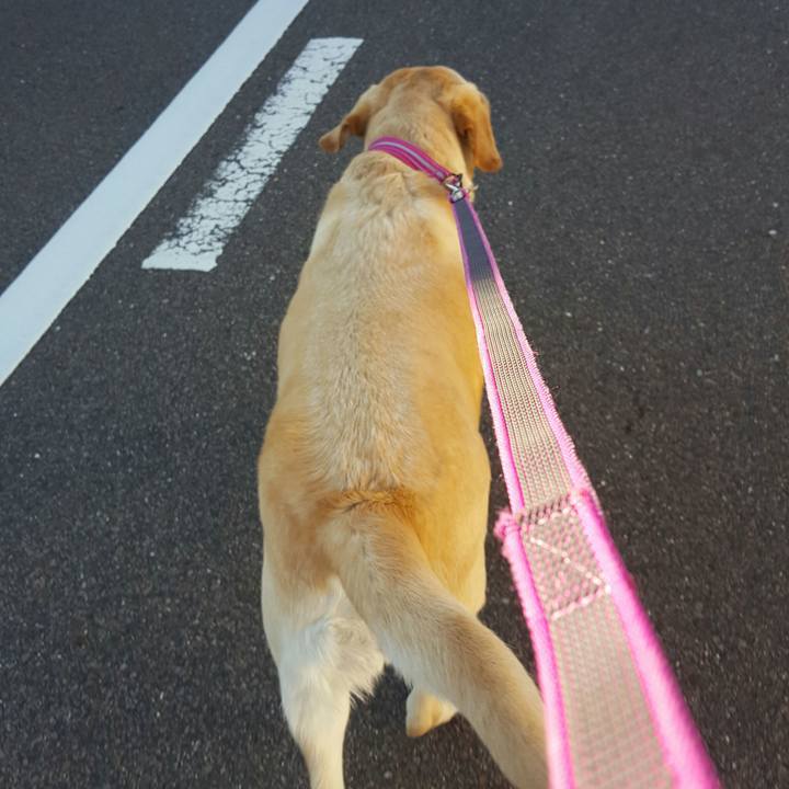 50001883 fdfa 464f b6e9 fbece4da6575