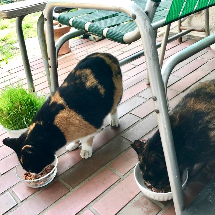 50002f66 582d 4628 a84f 00fbdcc7a81f