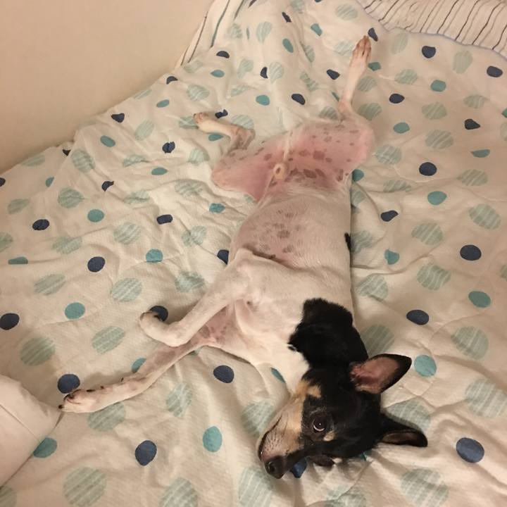 50004dc8 1e9e 44f5 9ff4 946e48e6abc3