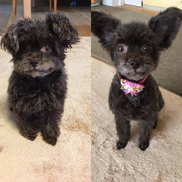 5000ab42 867e 447f 84f7 626bd322db80