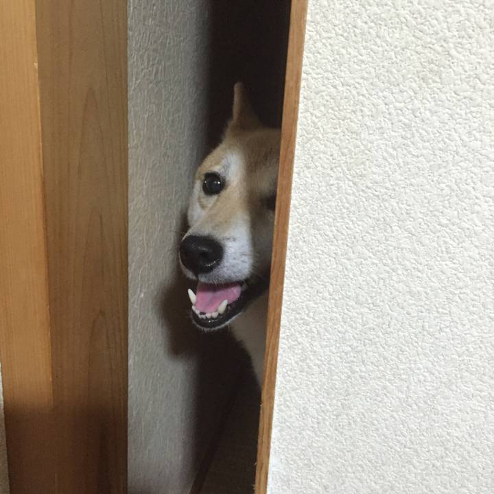 50010b2f 28b1 46e7 be50 2c579df0a59d