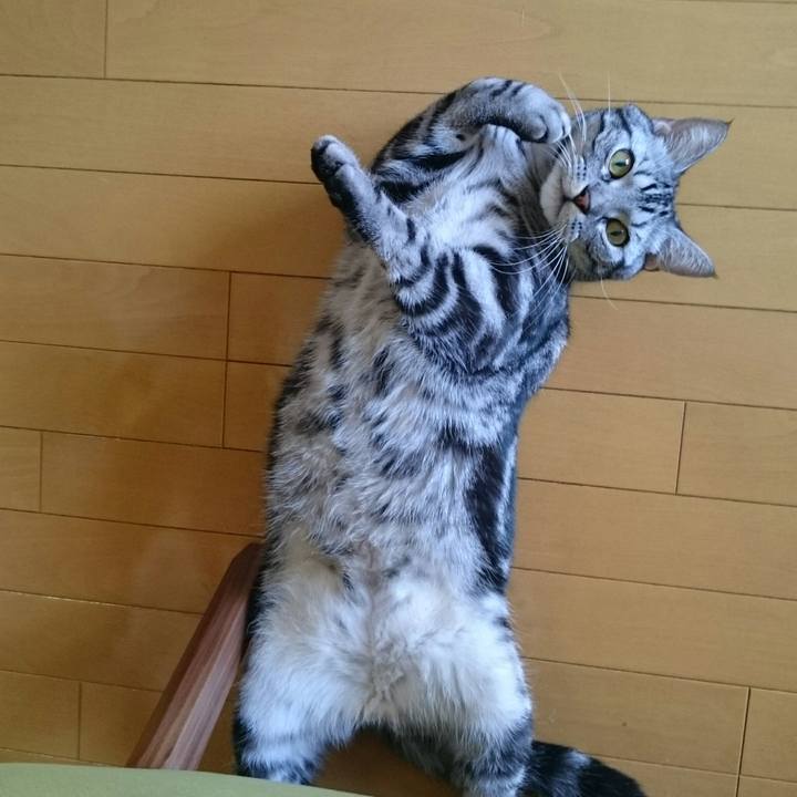 50014d86 165a 43b5 86ed 45df0437d76a