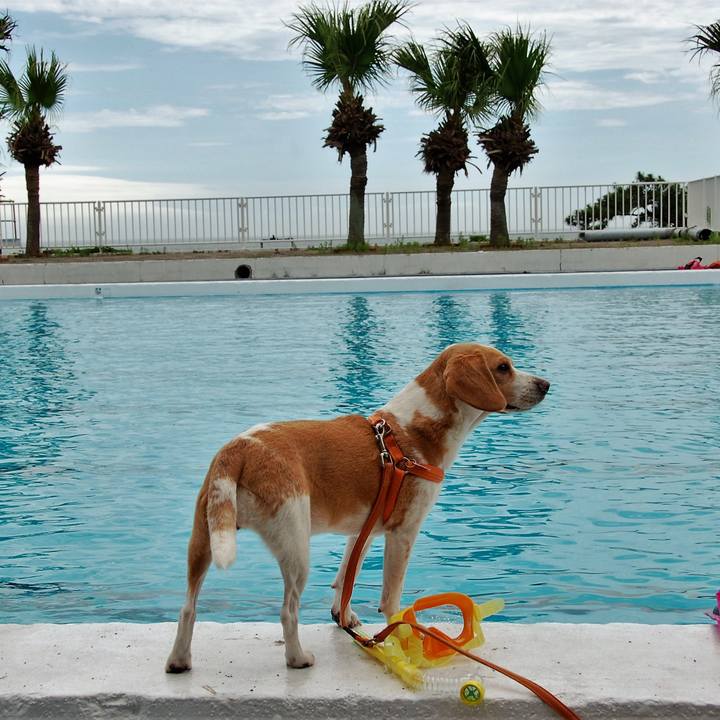 50015fdc 400c 4f0e bd9e bd8bb33cf6b8