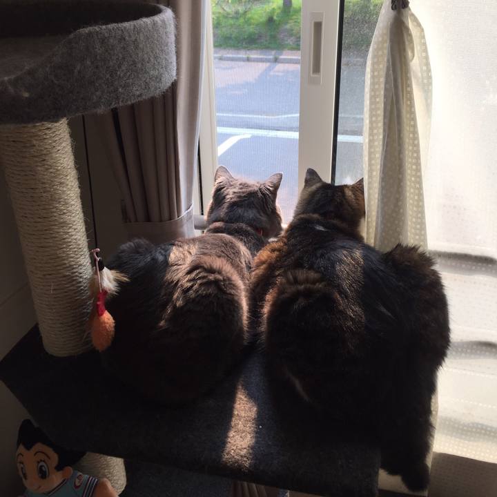 50019e05 881b 4c96 a445 3933d1548ee9