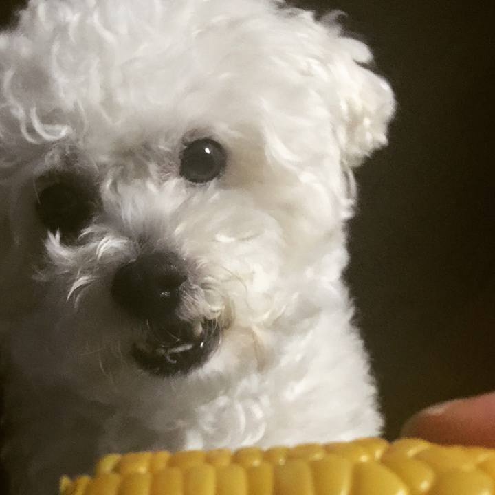 5001e0f8 7ad0 4e8d a0a1 8327131d4c10