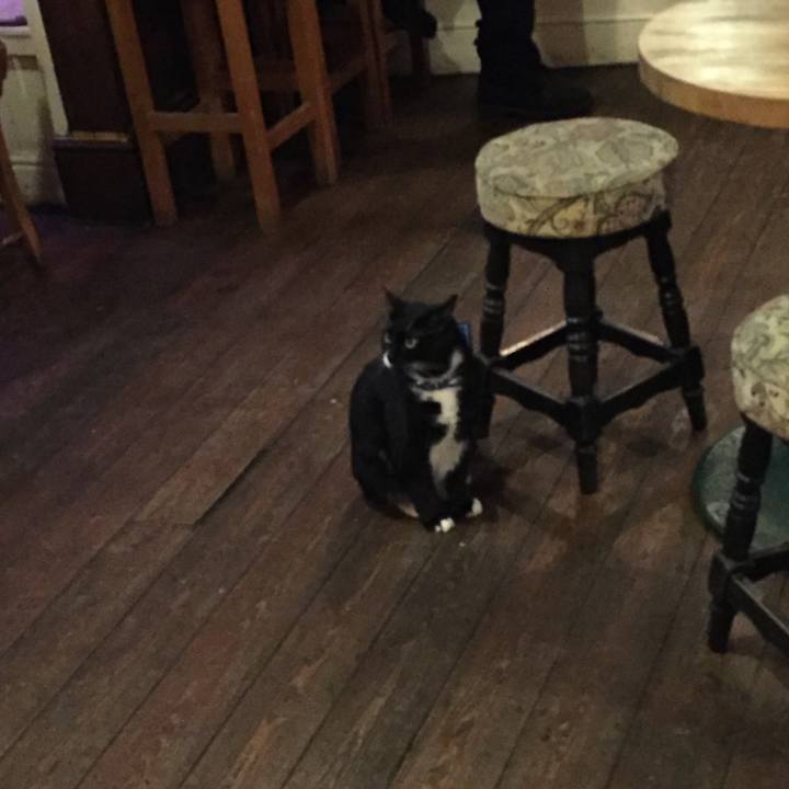 50024ef7 ef8c 4de0 9e27 4aa6ba4586e3