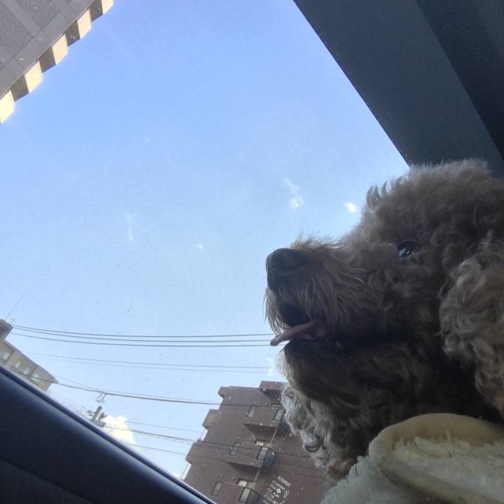 5002bb91 df98 4d1d b5ad 4ca48cafcafa