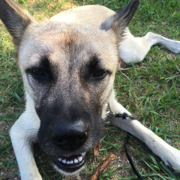 50031555 97f0 482a a103 daa976d17a71