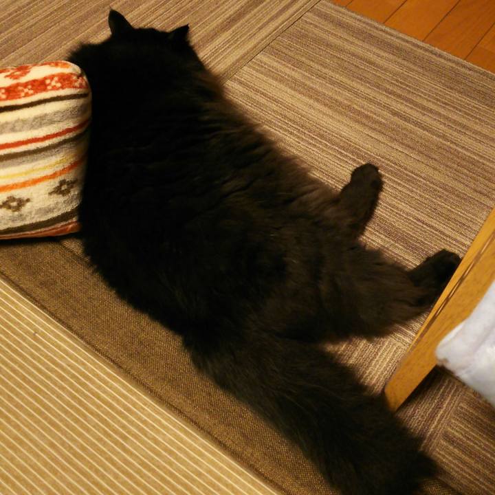 50033cce c21f 4c39 9c00 87bebcd77624