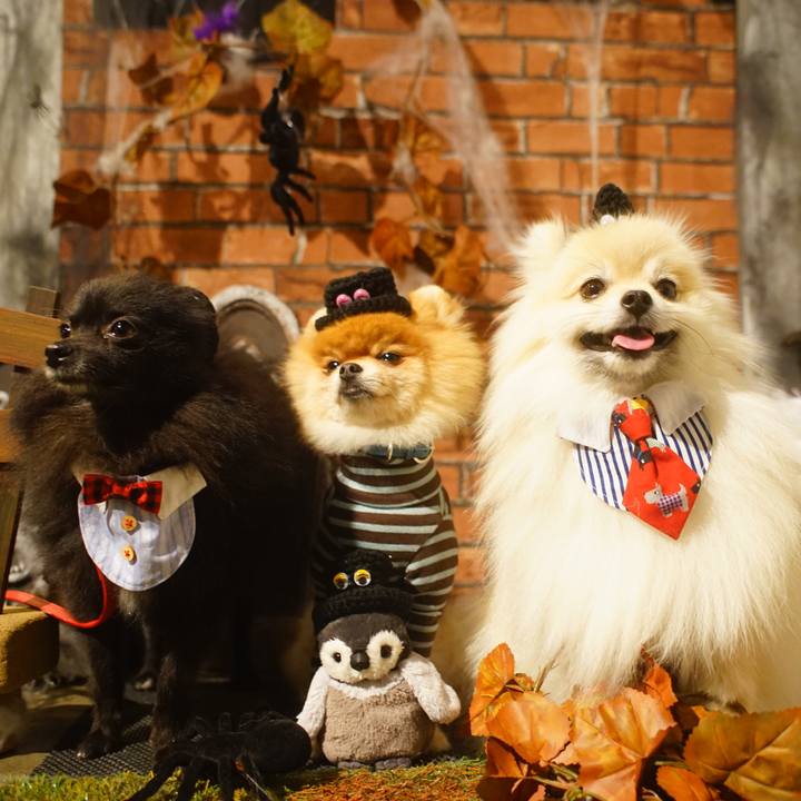 500382d5 e250 4d81 9e10 96959c3bf0af