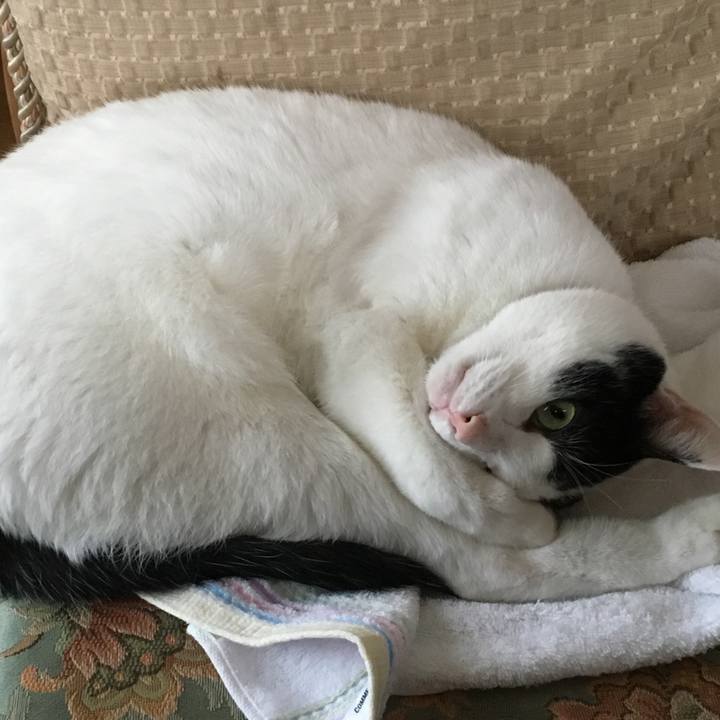 50043d2f c64f 4518 aa3e 3c6ab0ea3fa1