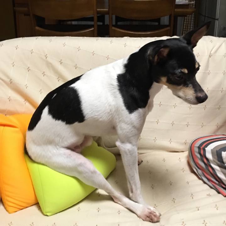 500480e1 5891 4ab0 89c5 38445cb5ae28