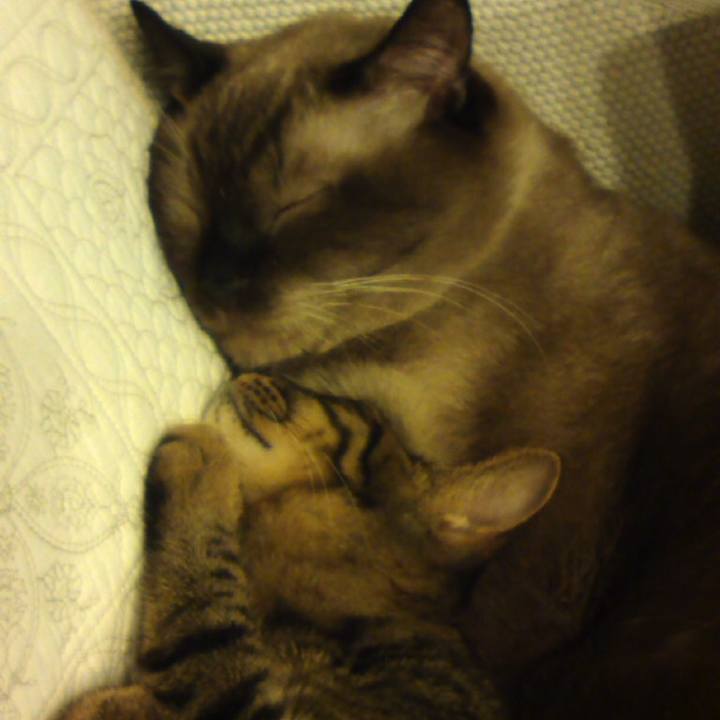 5004a300 7a6b 447e b0bd 907c425217a8