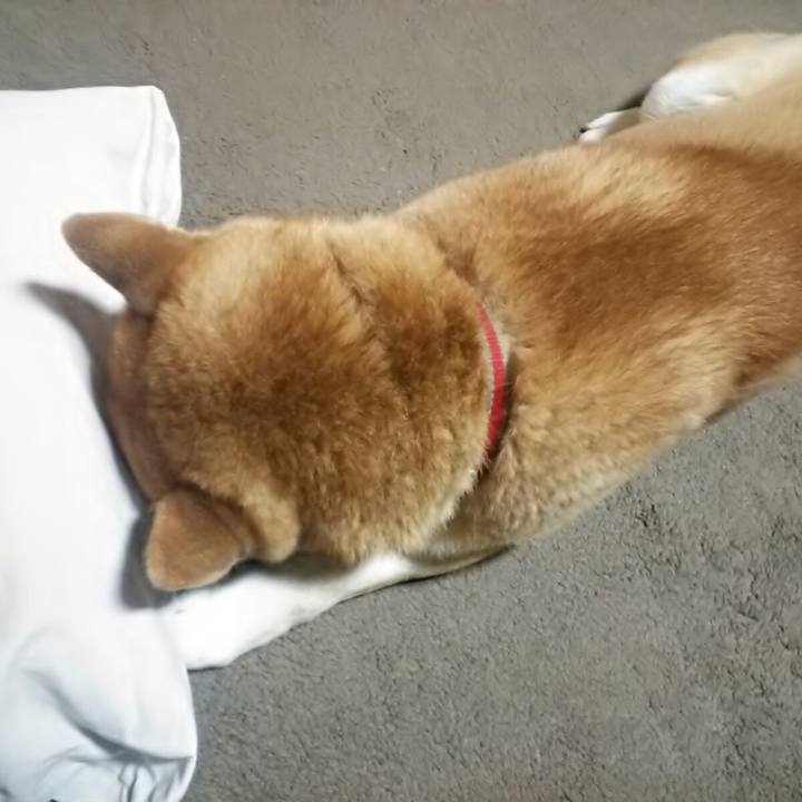 5005434e 20bf 4f44 bfbc 34c21712f4ee