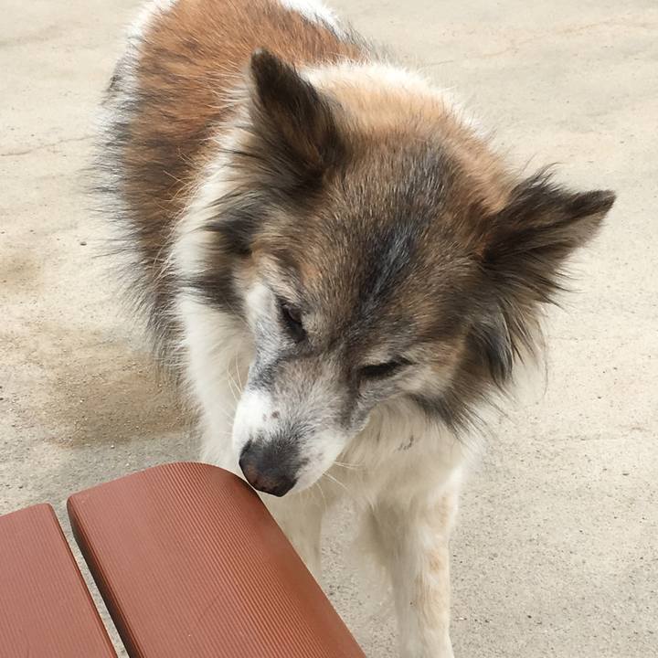 50057df1 7479 45d8 ac1a 5d6451462e34