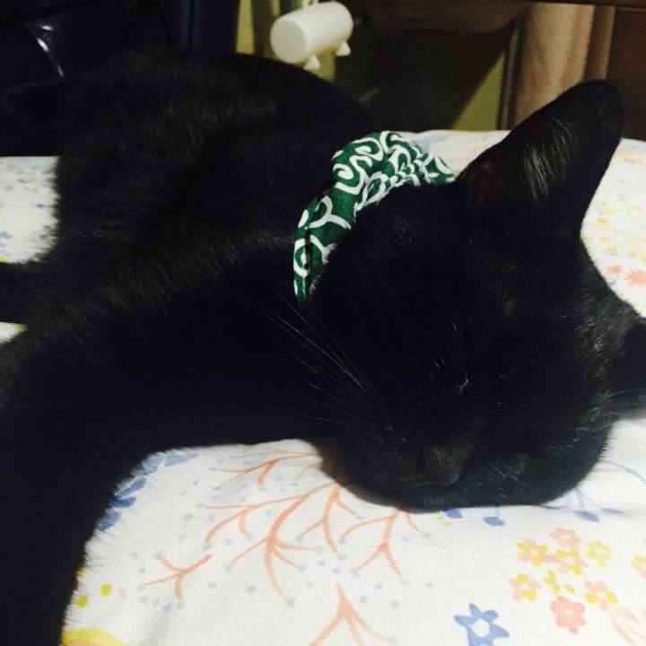 5006987e 89a5 4977 a0f2 10c48f49e656