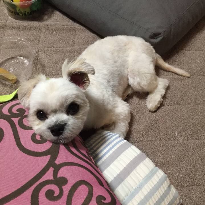 50071ce5 5c88 49e3 a213 67fe1b1259ce