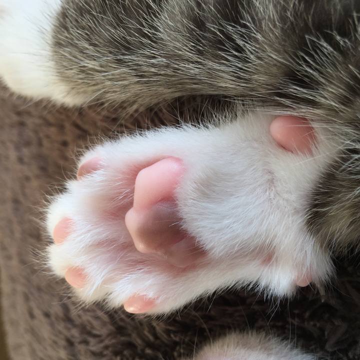 500763f8 6403 4a19 96bf 0036c536caa4