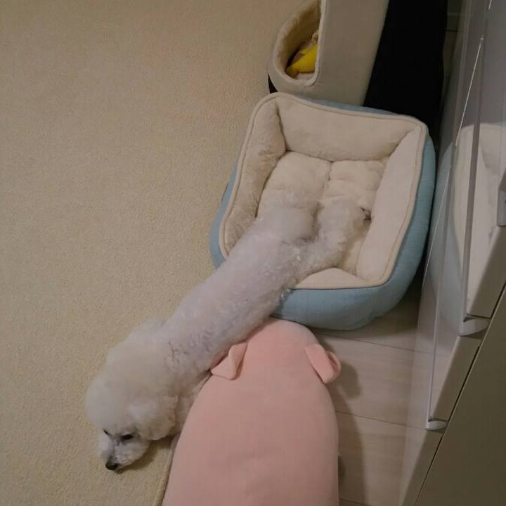 50080144 b1fa 4063 84a0 1f916a4f3716