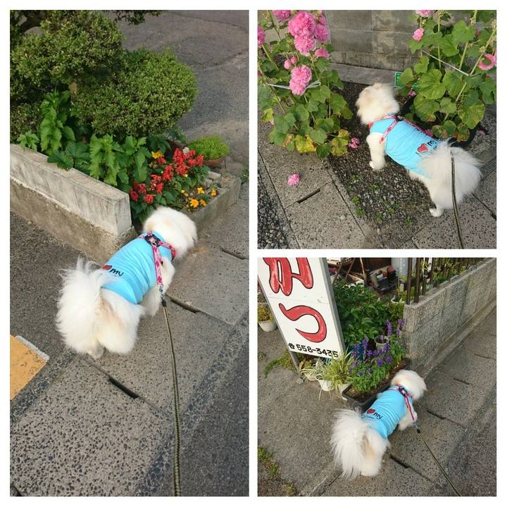 5008529e 13ae 4eac 95e5 838fadf2fb4a