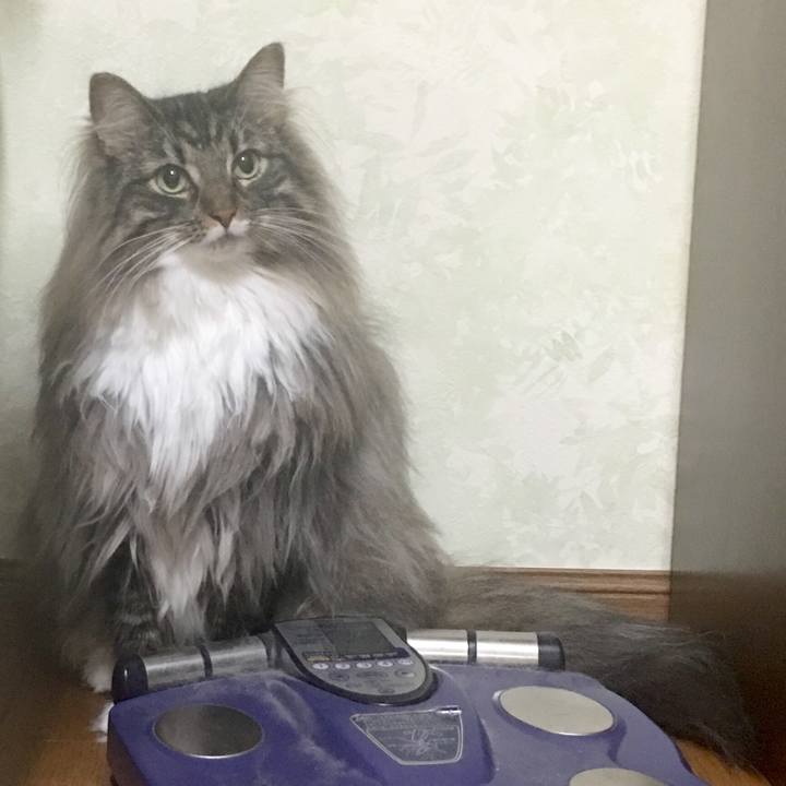 50086001 e6de 4a32 a8a8 1cd1f1b971f0