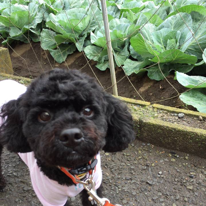 5008cc0f eddc 4853 b8b2 4d92fc0847fd