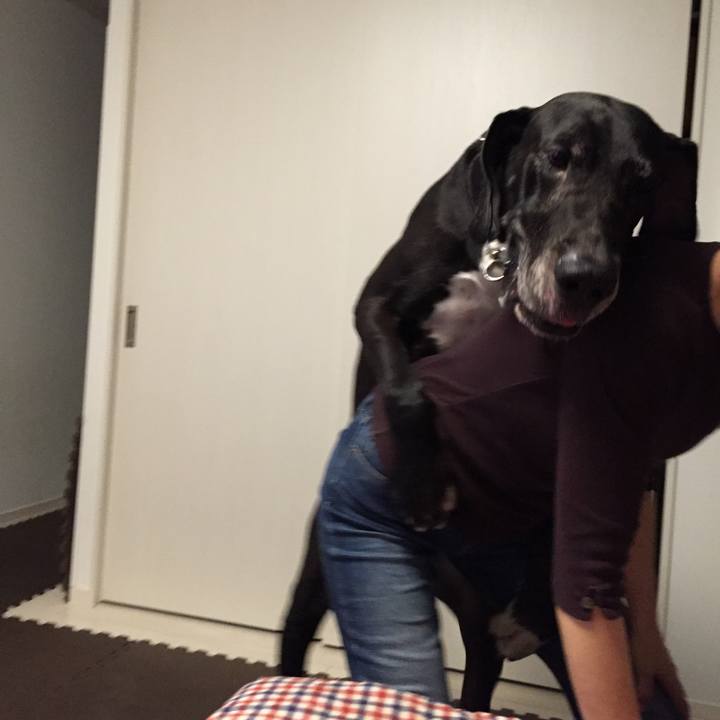 5008dc2c 3e23 41af 9693 9576cd8fcd9c