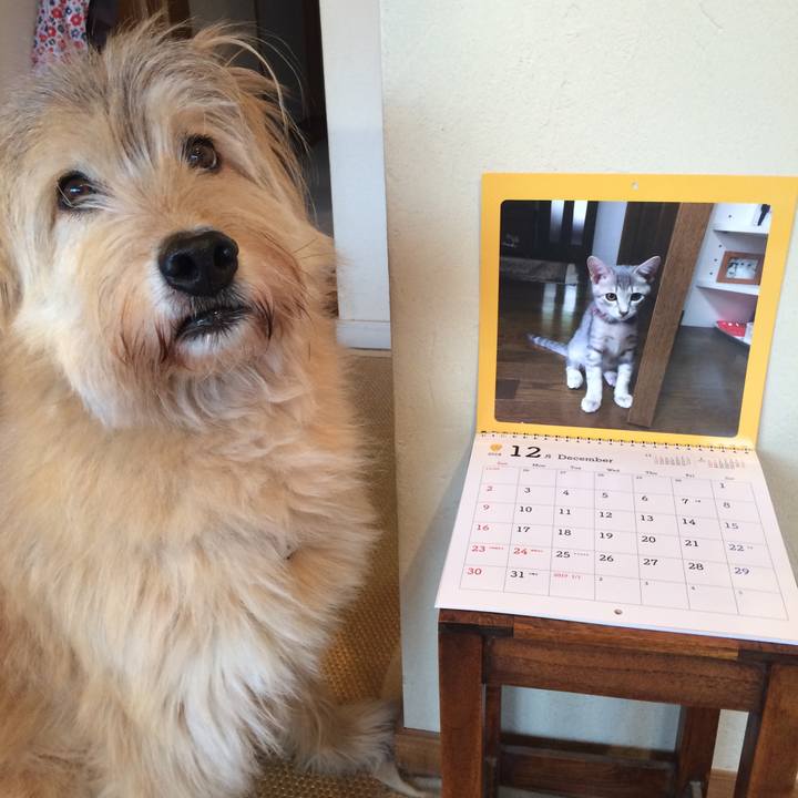 50096e7a 8c12 4c15 813f 11c2b8e3a90b