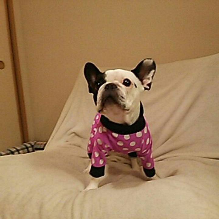 500c02bc 4107 4d09 b73b d1b39f38887a