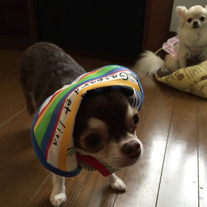 500c1eaf bf5b 44d6 8ef0 24f49e726f54