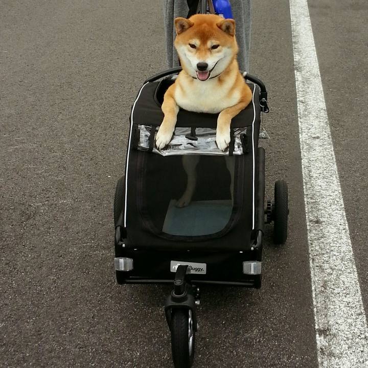 500c7eeb 9dee 4e7c 91ac 4820811b2639