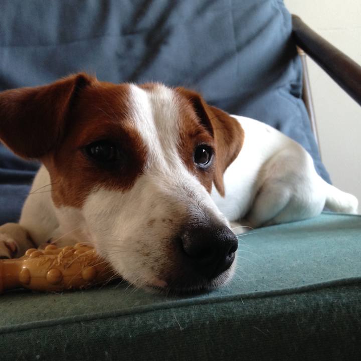 500c8333 ec5f 4190 9cfc 4483a9cf1fd3