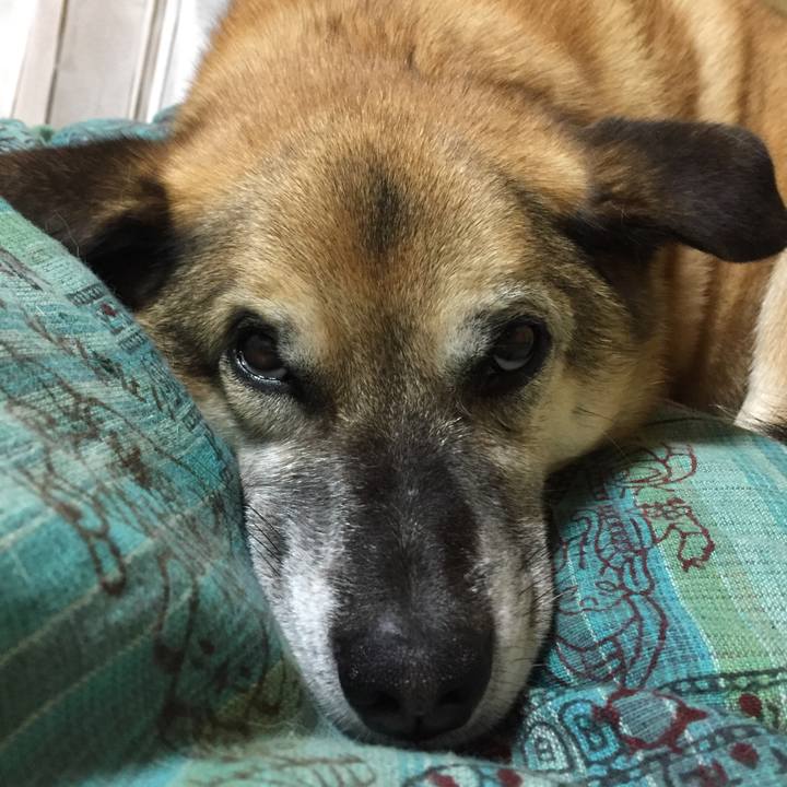 500c8e6c a54c 45aa 879b 6850fb89ee7a